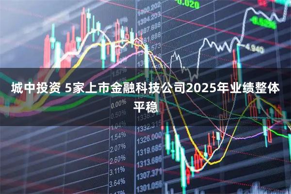 城中投资 5家上市金融科技公司2025年业绩整体平稳
