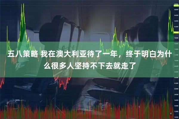 五八策略 我在澳大利亚待了一年，终于明白为什么很多人坚持不下去就走了