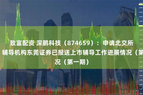 致富配资 深鹏科技（874659）：申请北交所上市，辅导机构东莞证券已报送上市辅导工作进展情况（第一期）